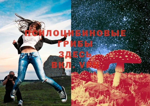 бошки Нефтегорск