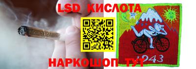 гидра Беслан
