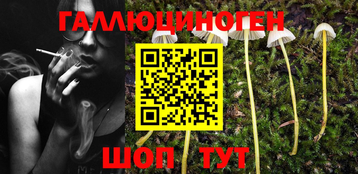 Псилоцибиновые грибы Cubensis  Вход с VPN  Галлюциногенные грибы прущие грибы  Владимир 