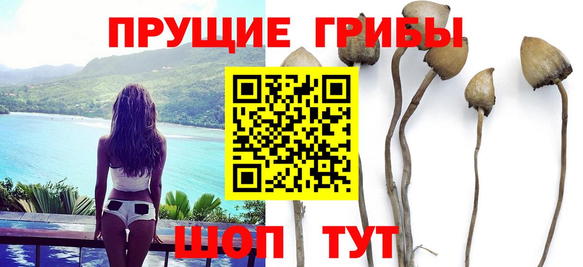 Галлюциногенные грибы мухоморы Владимир