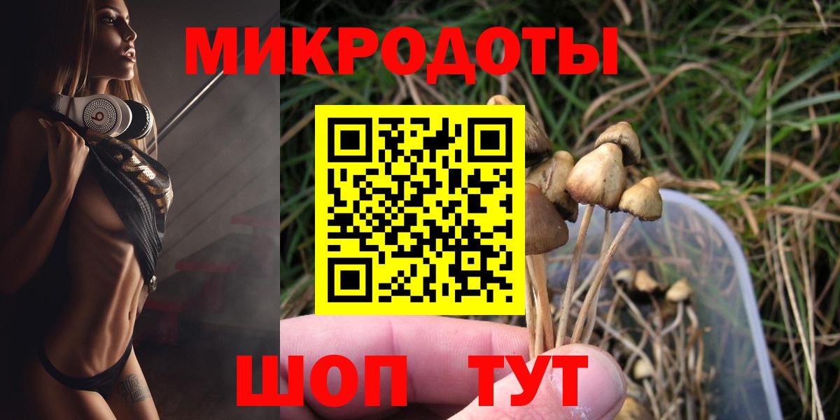 Псилоцибиновые грибы Psilocybe  купить  сайты  Владимир 