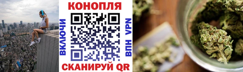 Бошки Шишки VHQ Владимир